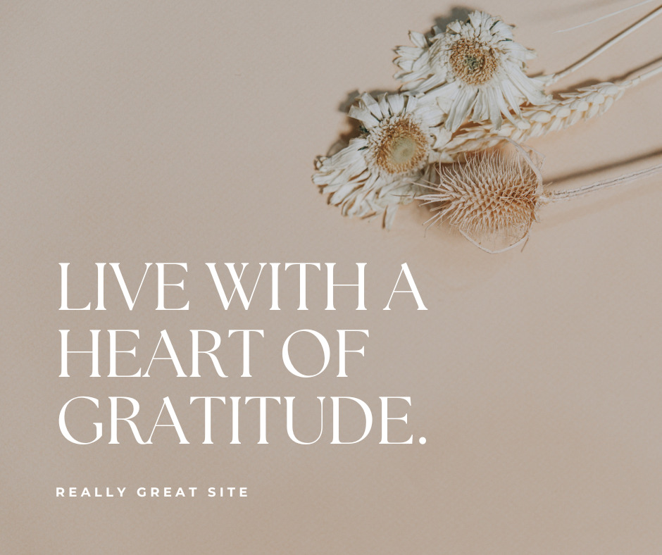 5 ways to show gratitude